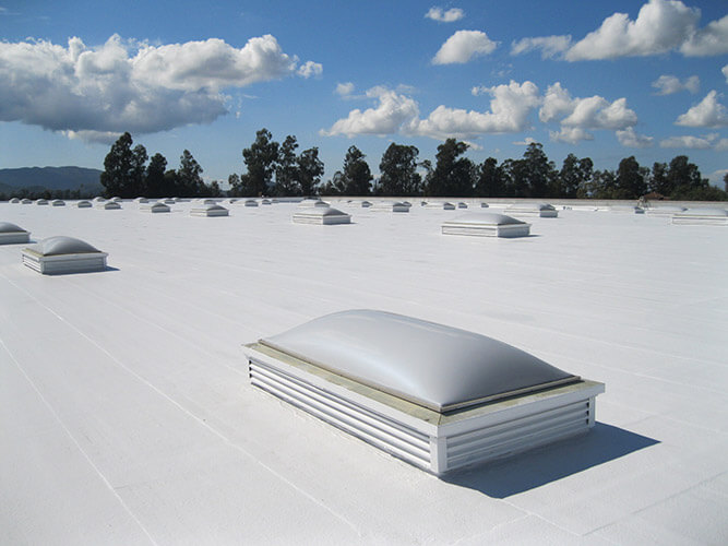 TPO Commercial Roof